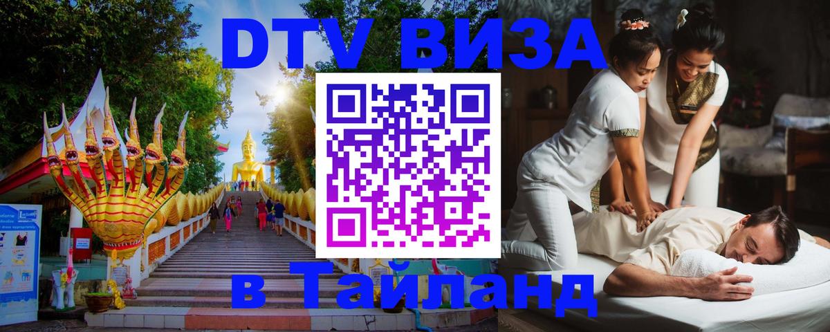 Оформление DTV визы под ключ: стоимость и тарифы, только загранпаспорт - 